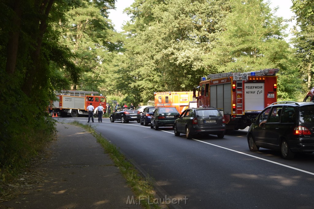 Waldbrand Koeln Hoehenhaus Hoehenfelder Mauspfad P002.JPG - Miklos Laubert